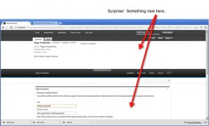 Page property interface of WebSphere Portal 8 related to managed pages feature